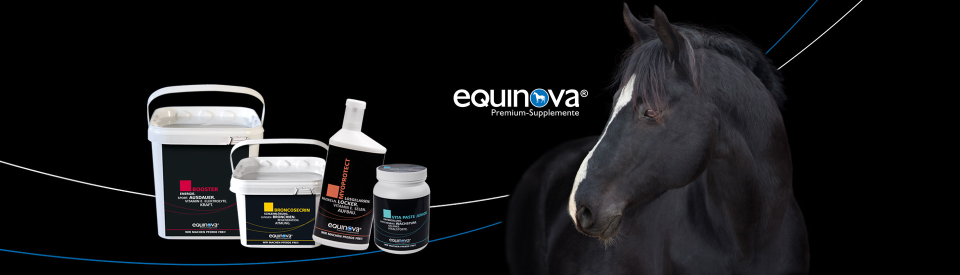 equinova